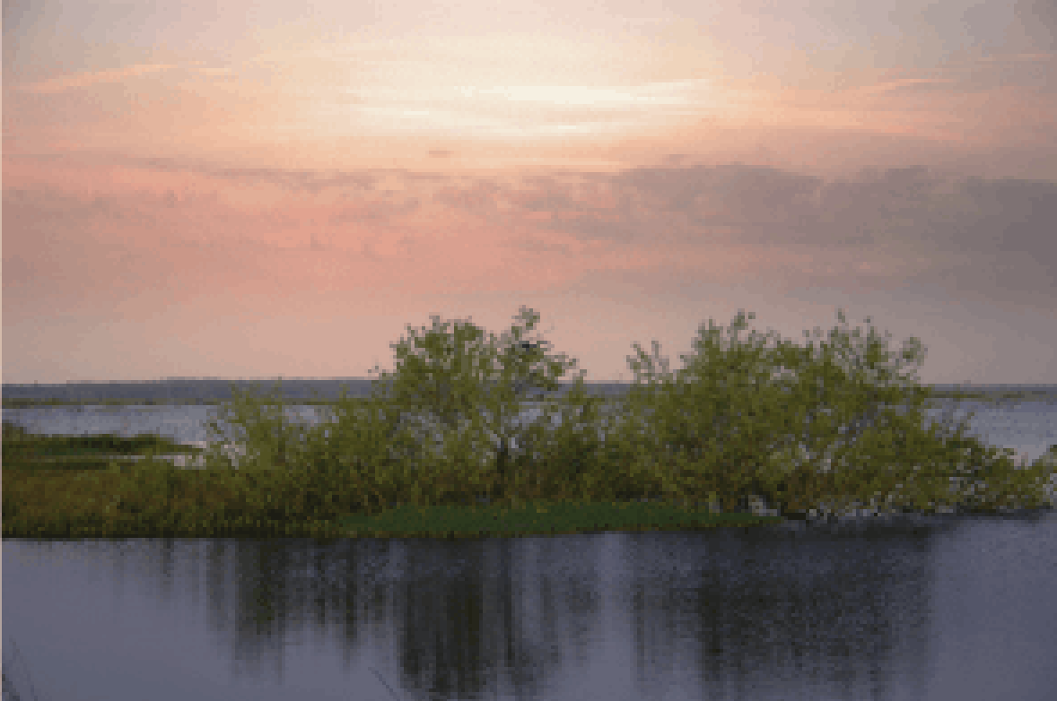  Paynes Prairie Preserve State Park  at sunset